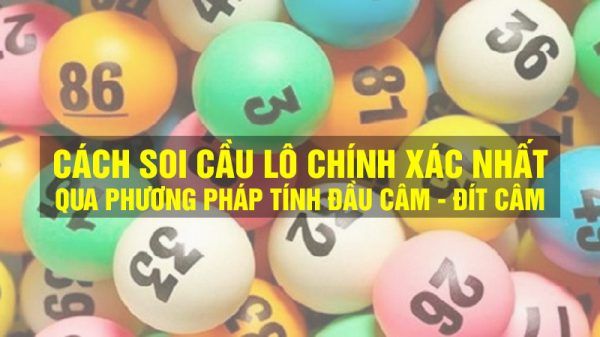 Bật Mí Bí Quyết Chinh Phục Đầu Lô Câm - Thu Hái Thành Quả Ngọt Ngào