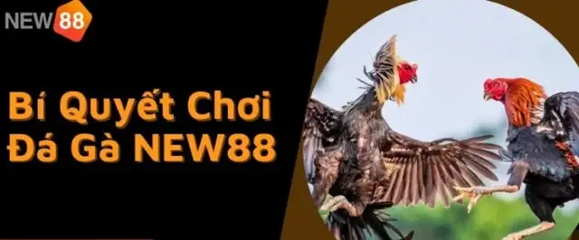 da ga new88 67ce90d72279f