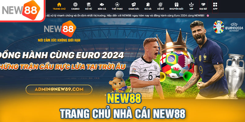 New88 lừa đảo - Những Thông Tin Cần Biết Để Tránh Mắc Bẫy