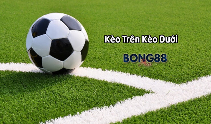 Thấu Hiểu Kèo Trên Kèo Dưới Trong Bóng Đá - Bí Kíp Đánh Đều Tay Cao Thủ